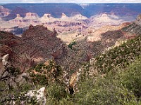 DSC 8392 : america, grandcanyon, paesaggi