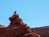 DSC 8822 : america, archesnationalpark, paesaggi