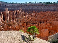 DSC 8881 : america, brycecanyon, paesaggi