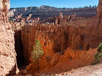 DSC 8886 : america, brycecanyon, paesaggi