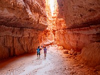 DSC 8900 : america, brycecanyon, paesaggi