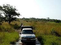 DSC 5501  Benin (Africa) -  Wansokou