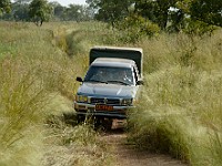 DSC 5535  Benin (Africa) - Wansokou